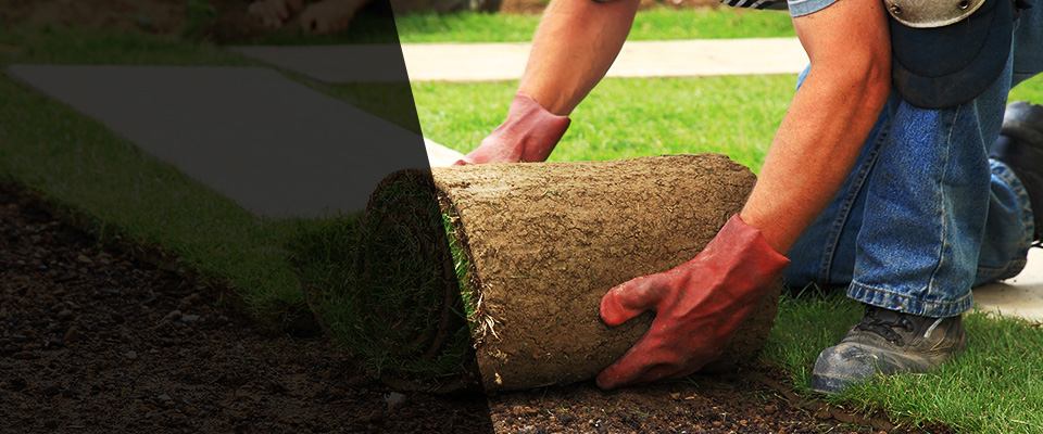 Glastonbury Landscapers